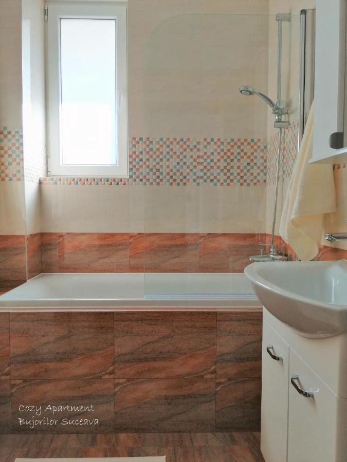 Cozy Apartment Bujorilor סוסאבה מראה חיצוני תמונה