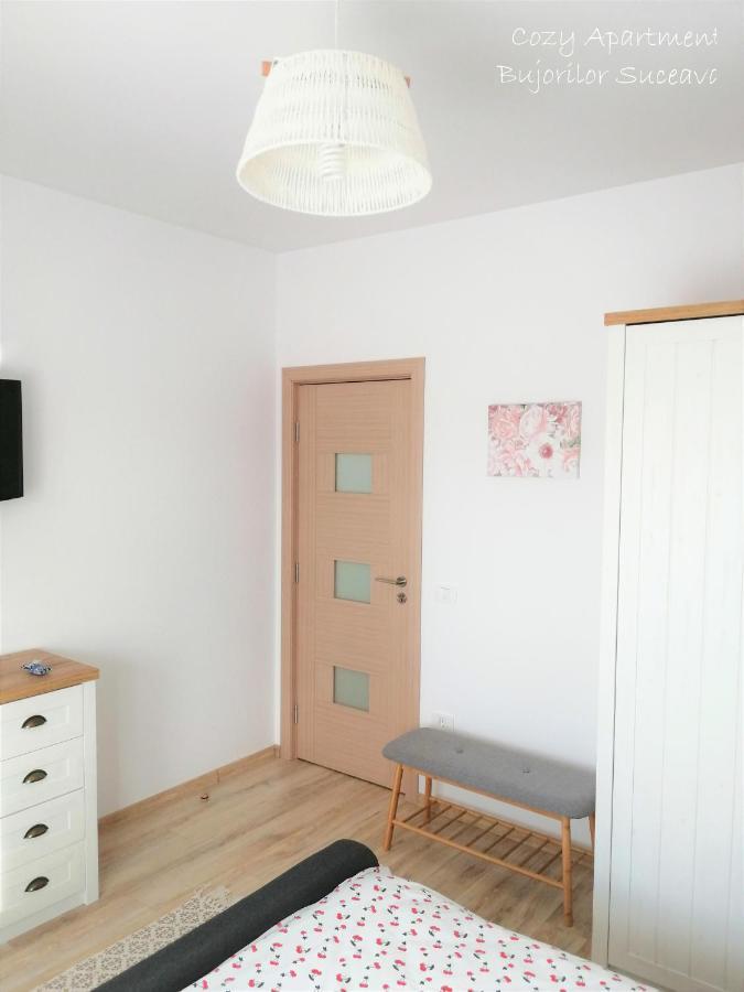 Cozy Apartment Bujorilor סוסאבה מראה חיצוני תמונה
