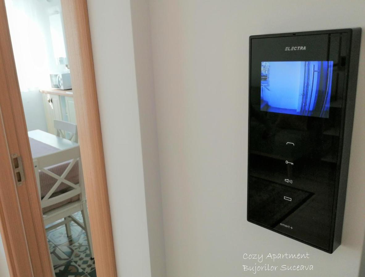 Cozy Apartment Bujorilor סוסאבה מראה חיצוני תמונה