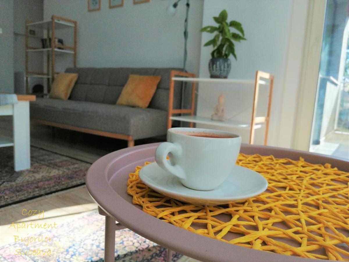 Cozy Apartment Bujorilor סוסאבה מראה חיצוני תמונה