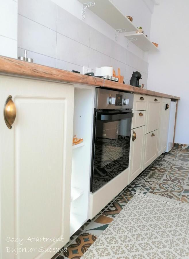 Cozy Apartment Bujorilor סוסאבה מראה חיצוני תמונה