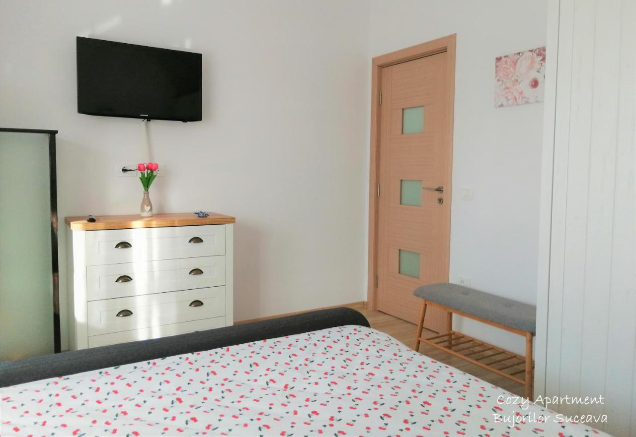 Cozy Apartment Bujorilor סוסאבה מראה חיצוני תמונה