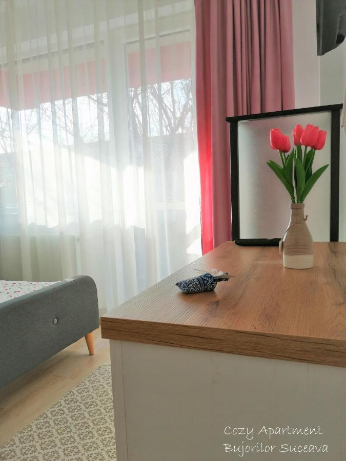 Cozy Apartment Bujorilor סוסאבה מראה חיצוני תמונה