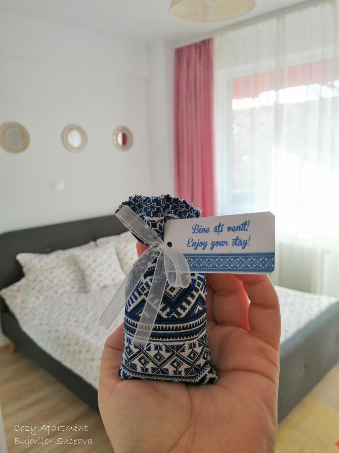 Cozy Apartment Bujorilor סוסאבה מראה חיצוני תמונה