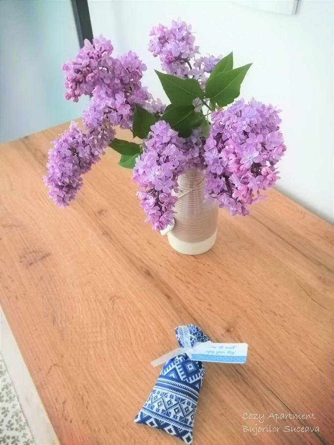 Cozy Apartment Bujorilor סוסאבה מראה חיצוני תמונה