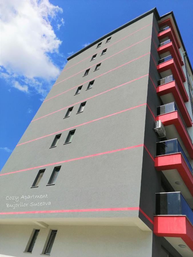 Cozy Apartment Bujorilor סוסאבה מראה חיצוני תמונה